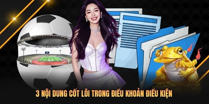 3 nội dung cốt lõi trong điều khoản điều kiện
